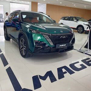 Dongfeng Mage 2025 Review: Bold and...