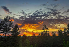 Displacing to a new site along Rampart Range Road