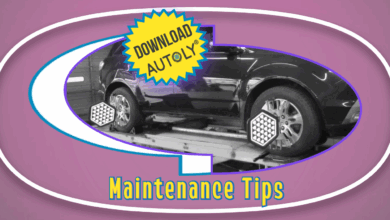 When should you align the Rear Wheels?
