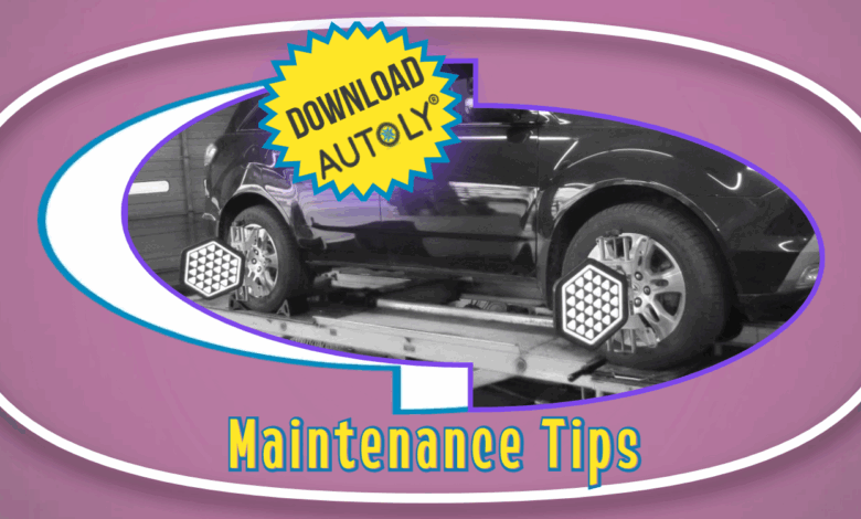 When should you align the Rear Wheels? When should you align the Rear Wheels?